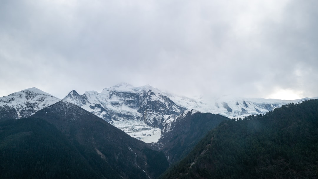 7 Best Platforms for Remote Online Technical Instruction Jobs